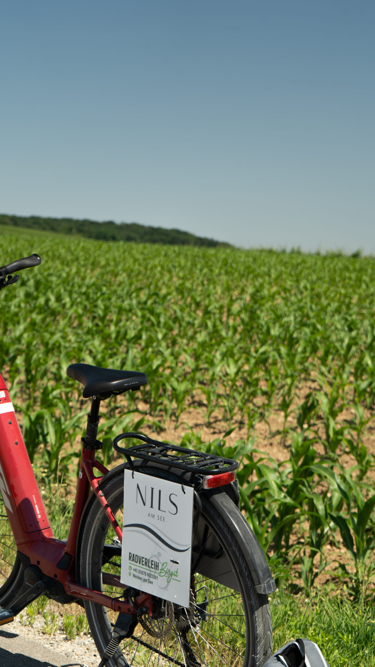 E-Bikes am Neusiedler See Radweg